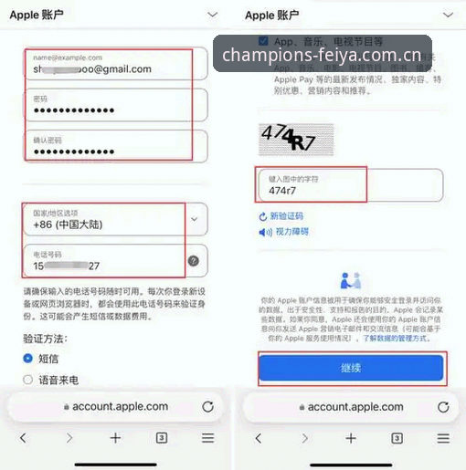 海外华人飞亚体育登录入口iOS版实用指南：从版本迭代到安全验证的关键细节